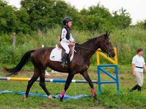 Sergienko Stable Вся наша жизнь