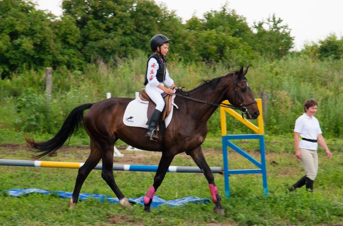 Sergienko Stable Вся наша жизнь